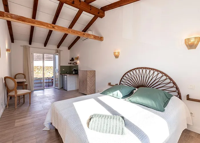 Vakantiehuis La Crique - Piscine Vue Montagne Climatise *